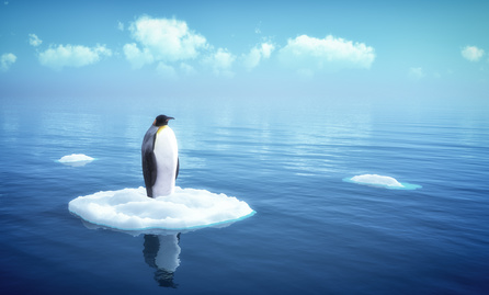 Google Penguin 4 arrive dans l’algorithme de Google