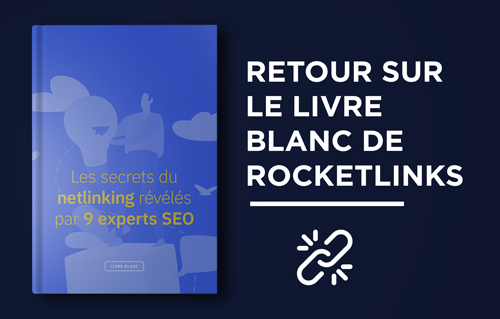 Avis d’expert : Les secrets du netlinking