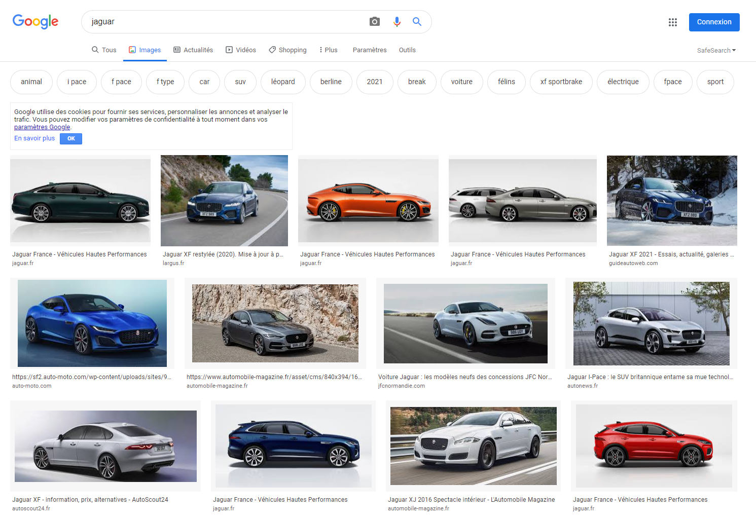google images jaguar