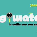 DigiWatch Janvier 2026 : veille SEO SEA SMA